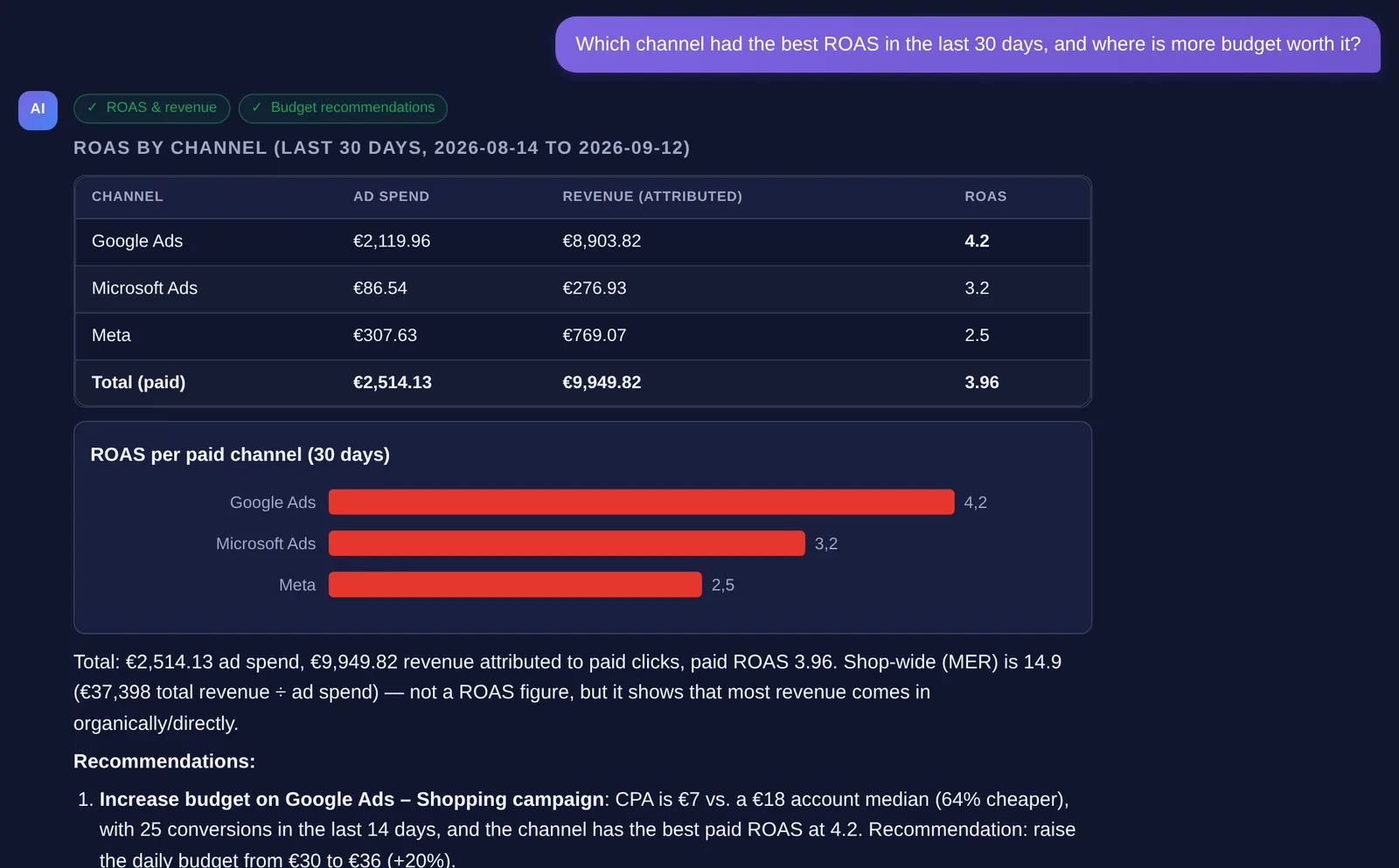 Data chat (example data): question about the best ROAS channel, answer with a per-channel table, bar chart and a budget recommendation